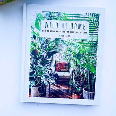 Housewarming Bliss